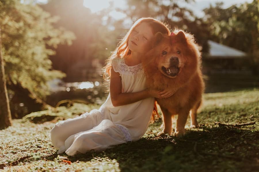 Owner hugging a calm, healthy dog outdoors